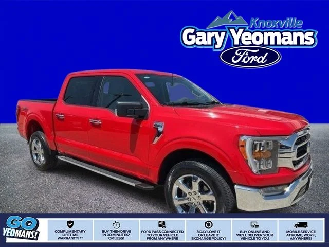 2023 Ford F-150 XLT 4WD photo