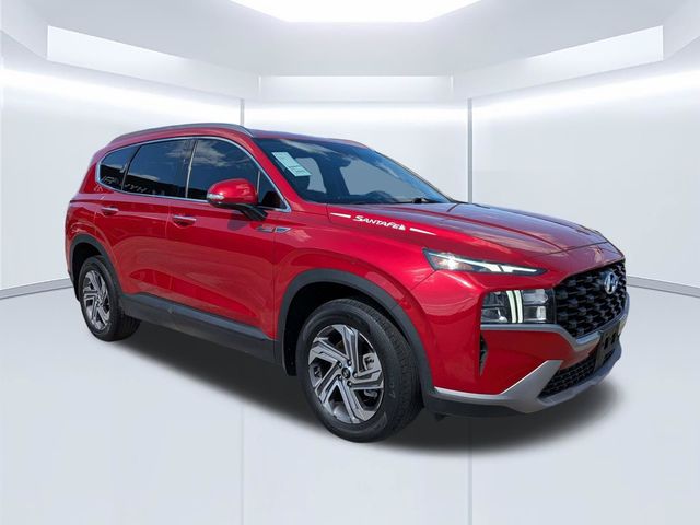 2023 Hyundai Santa Fe SEL FWD photo