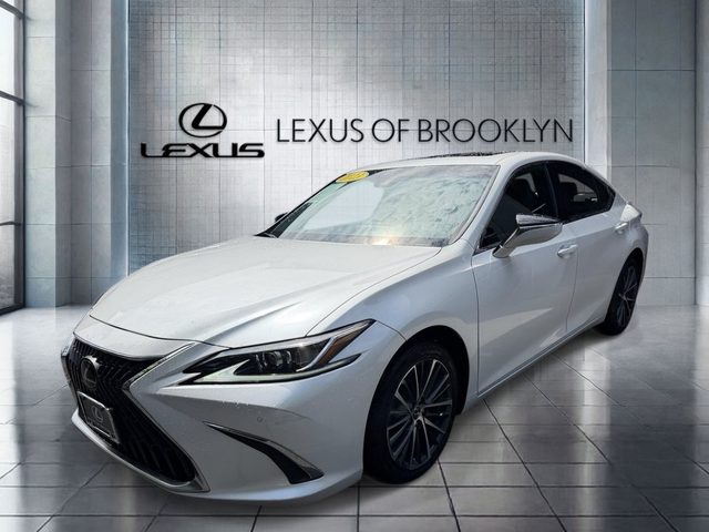 2023 Lexus ES ES 250 AWD photo