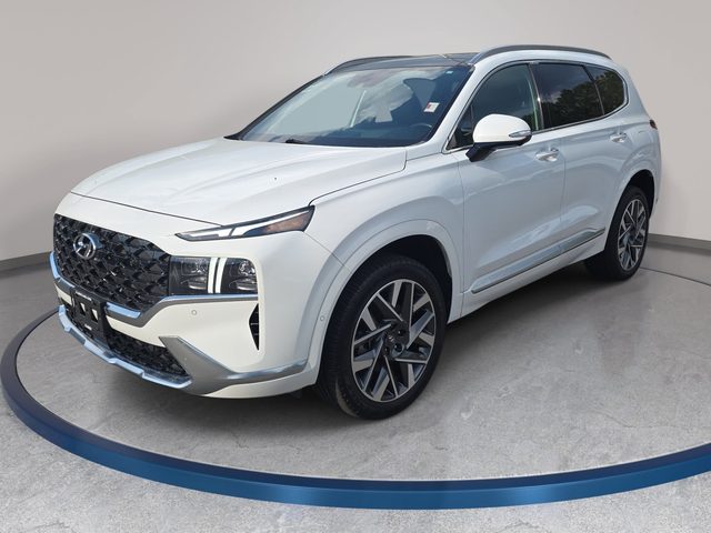 2023 Hyundai Santa Fe Calligraphy AWD photo