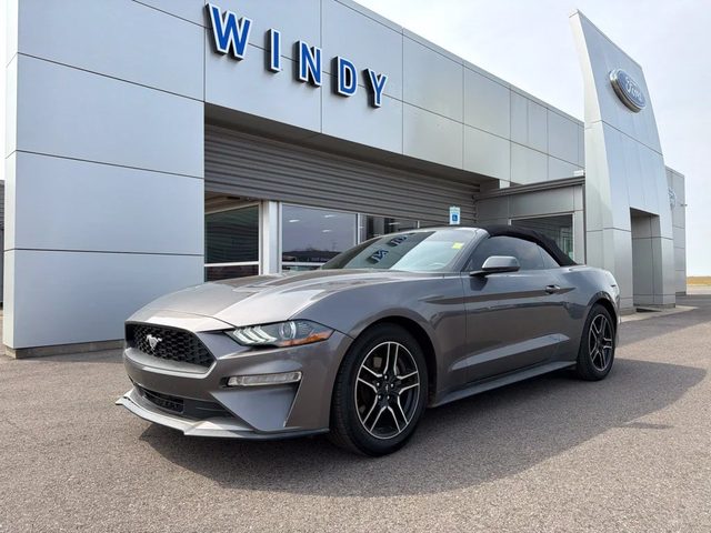 2021 Ford Mustang EcoBoost Premium RWD photo