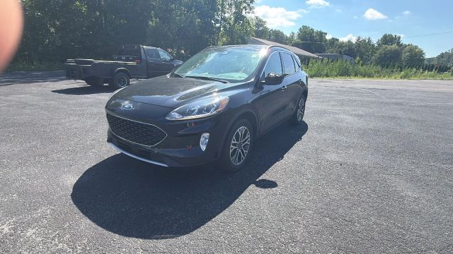 2020 Ford Escape SEL AWD photo