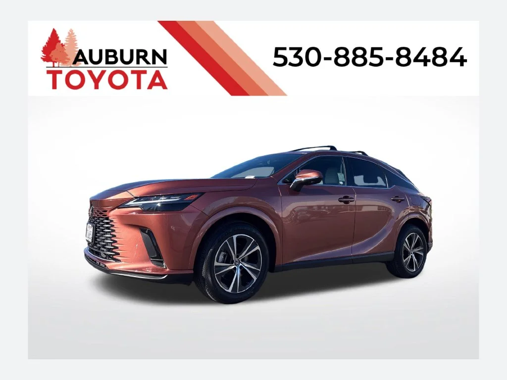 2023 Lexus RX RX 350 Premium Plus  photo
