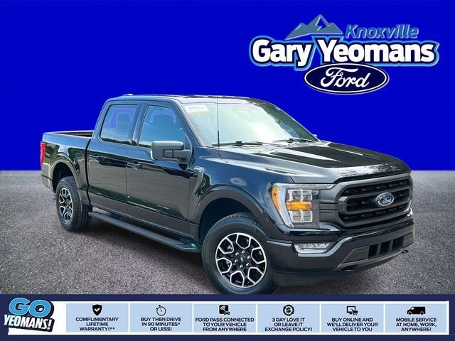 2023 Ford F-150 XLT 4WD photo