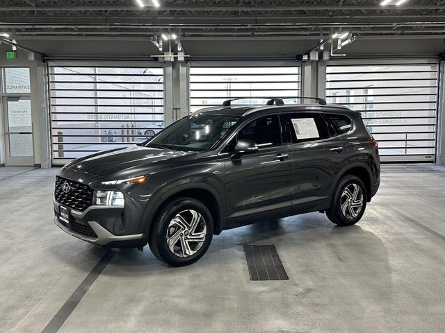 2023 Hyundai Santa Fe SEL AWD photo