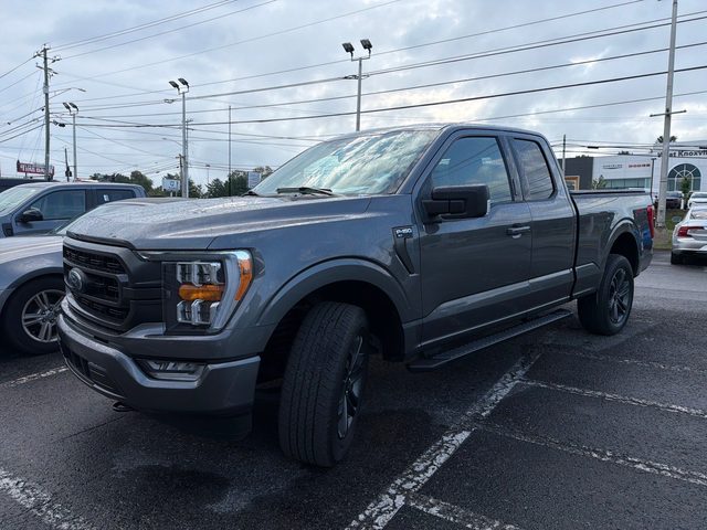 2023 Ford F-150 XLT 4WD photo