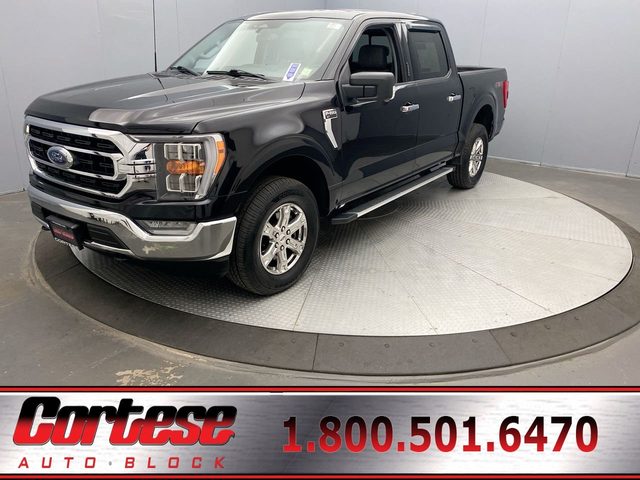 2023 Ford F-150 XLT 4WD photo
