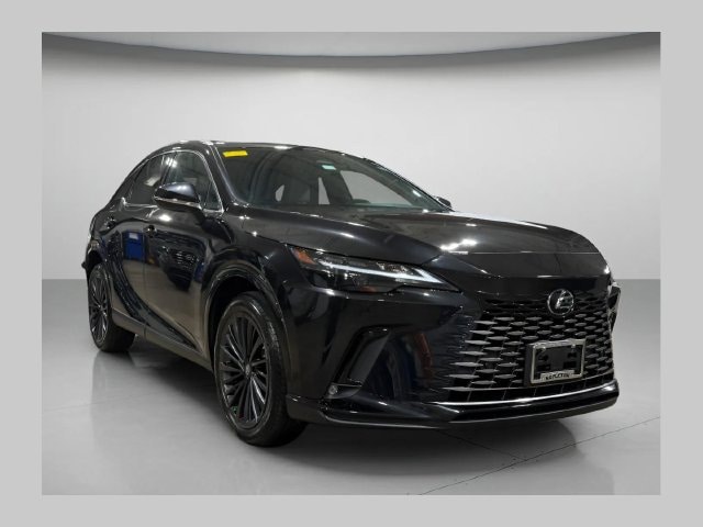 2023 Lexus RX RX 350h Premium AWD photo