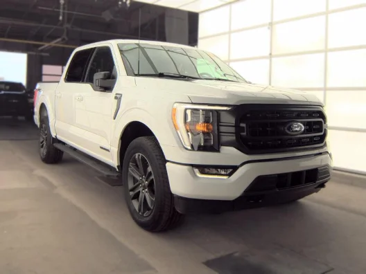 2023 Ford F-150 XLT 4WD photo