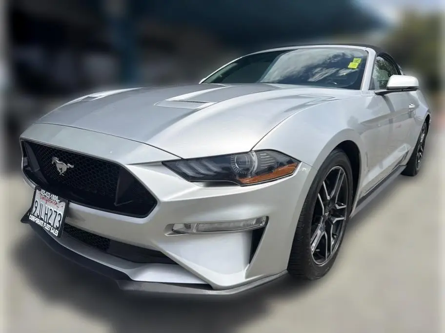 2019 Ford Mustang GT Premium RWD photo