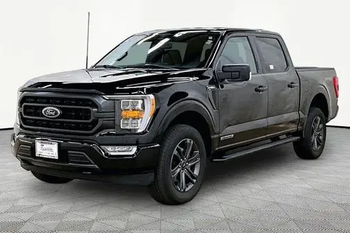 2023 Ford F-150 XLT 4WD photo
