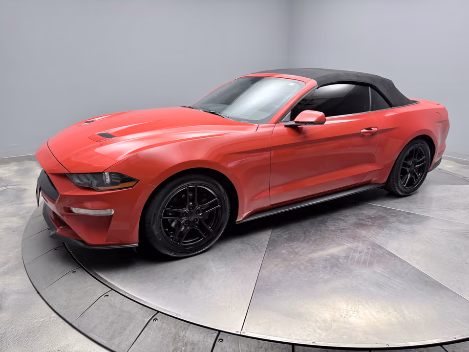 2019 Ford Mustang EcoBoost RWD photo