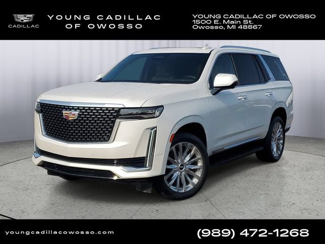 2023 Cadillac Escalade 4WD Premium Luxury 4WD photo