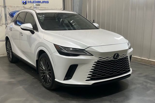 2023 Lexus RX RX 350 Luxury AWD photo