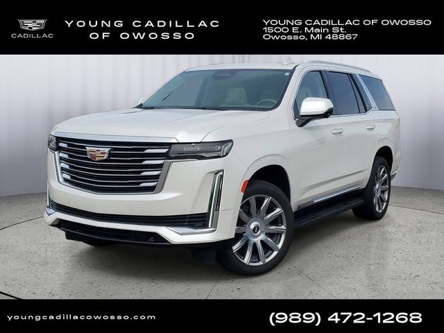 2023 Cadillac Escalade 4WD Premium Luxury Platinum 4WD photo