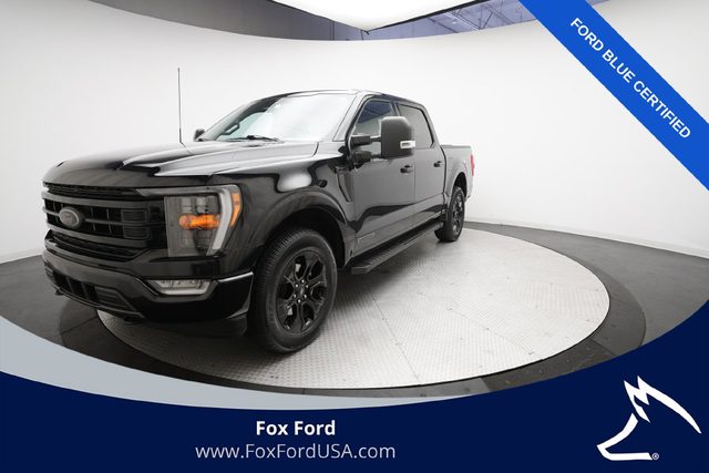 2023 Ford F-150 XLT 4WD photo
