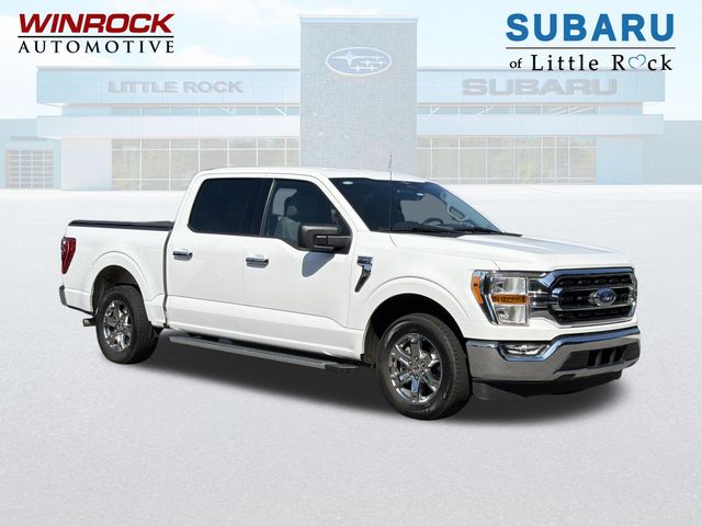 2023 Ford F-150 XLT RWD photo