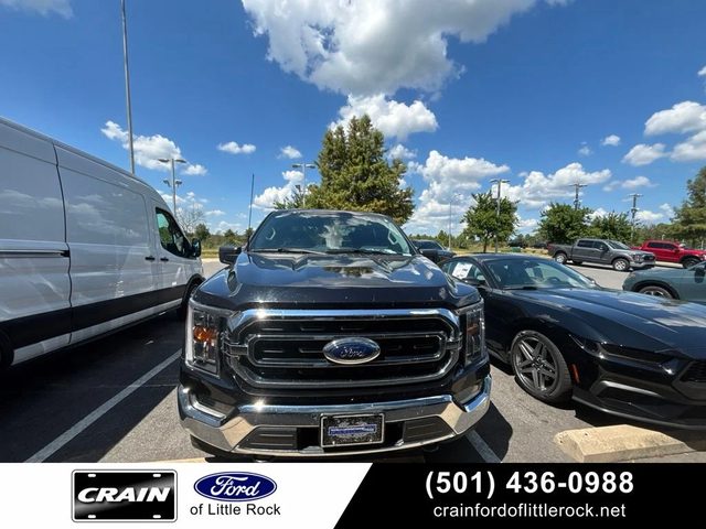 2023 Ford F-150 XLT 4WD photo
