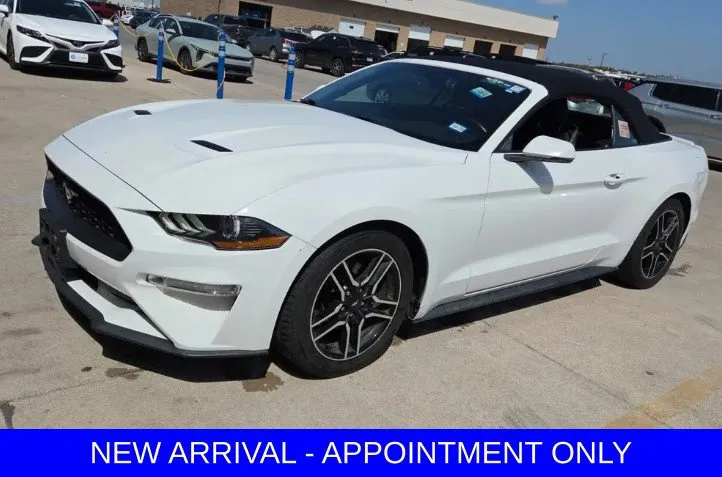 2019 Ford Mustang EcoBoost Premium RWD photo