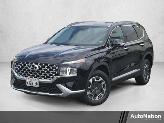 2023 Hyundai Santa Fe Blue AWD photo