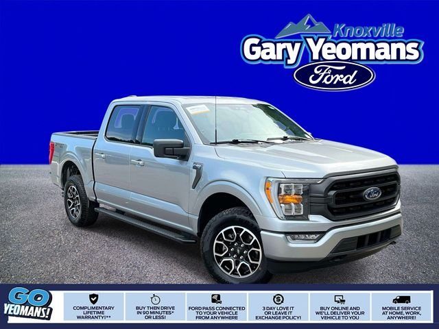 2023 Ford F-150 XLT 4WD photo