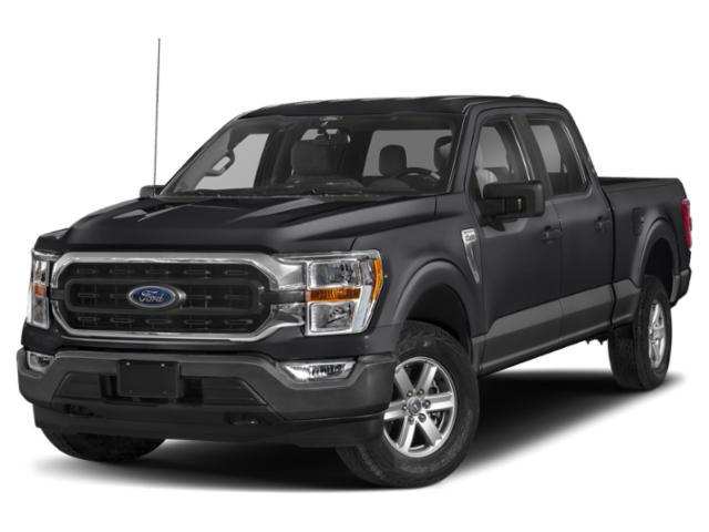 2023 Ford F-150 XLT 4WD photo