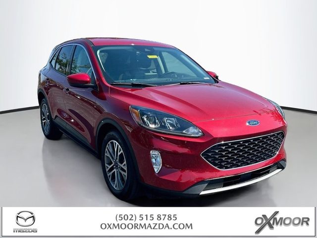 2022 Ford Escape SEL Hybrid FWD photo