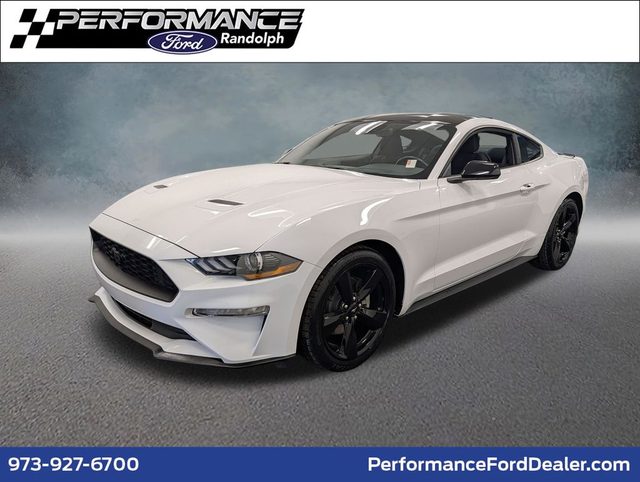 2021 Ford Mustang EcoBoost RWD photo