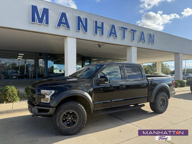 2017 Ford F-150 Raptor 4WD photo