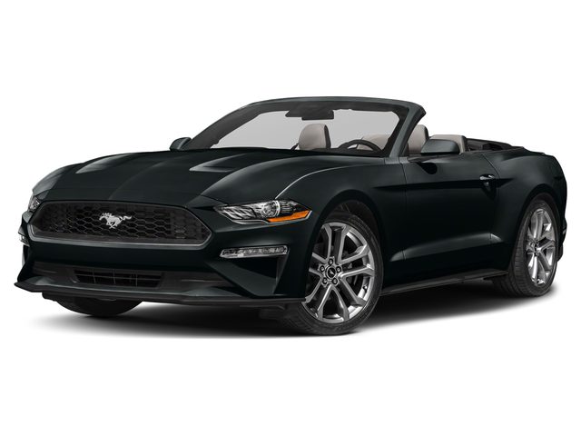 2023 Ford Mustang EcoBoost Premium RWD photo
