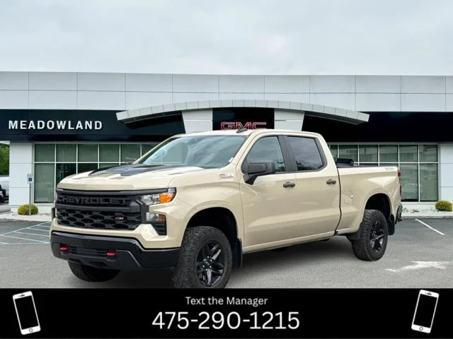 2022 Chevrolet Silverado 1500 Custom Trail Boss 4WD photo