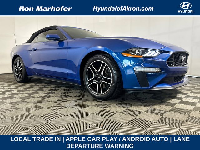 2023 Ford Mustang EcoBoost RWD photo