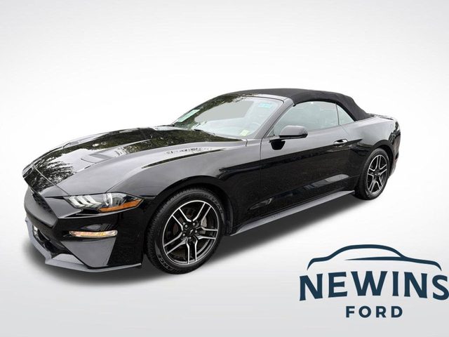 2023 Ford Mustang EcoBoost Premium RWD photo