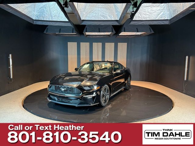 2023 Ford Mustang EcoBoost Premium RWD photo