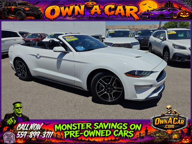 2022 Ford Mustang EcoBoost Premium RWD photo