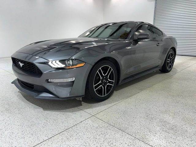2023 Ford Mustang EcoBoost RWD photo