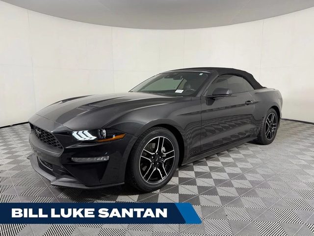 2023 Ford Mustang EcoBoost Premium RWD photo