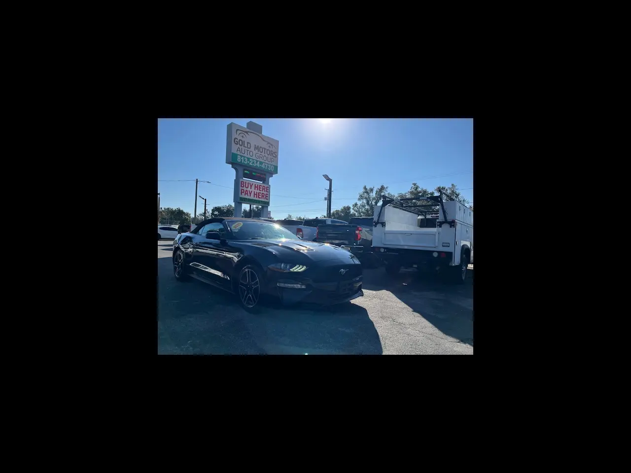 2020 Ford Mustang EcoBoost Premium RWD photo