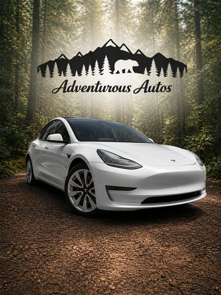 2020 Tesla Model 3 Long Range AWD photo