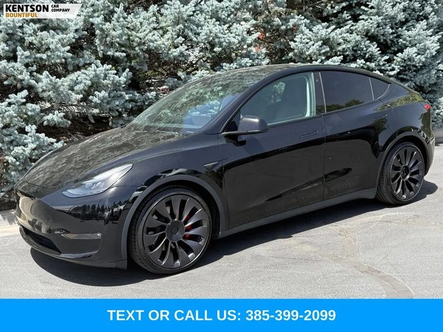 2023 Tesla Model Y Performance AWD photo