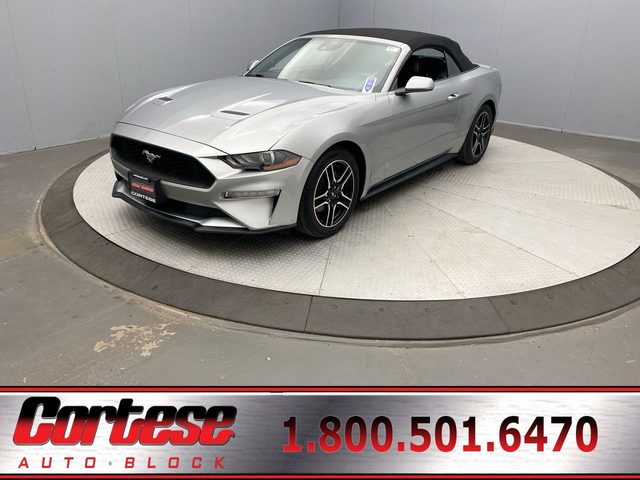 2023 Ford Mustang EcoBoost Premium RWD photo
