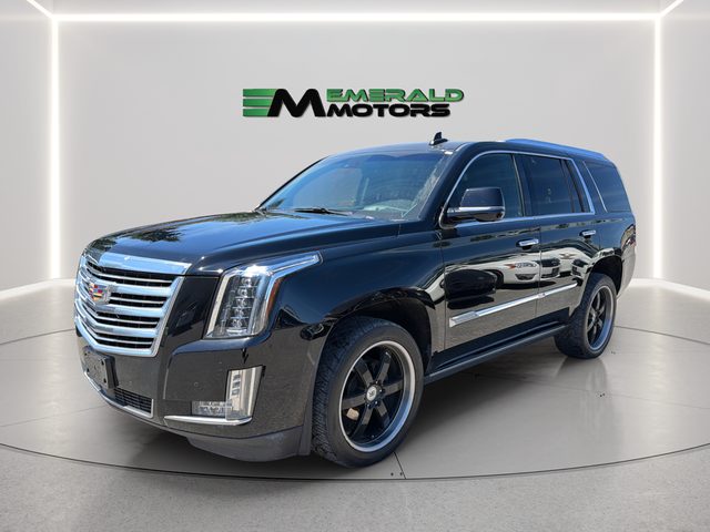 2016 Cadillac Escalade Platinum 4WD photo