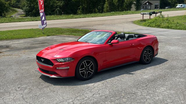 2020 Ford Mustang EcoBoost Premium RWD photo