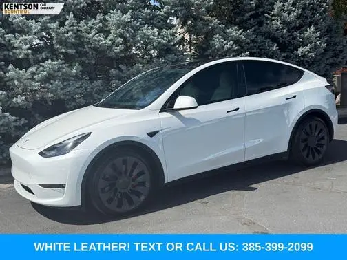 2023 Tesla Model Y Performance AWD photo