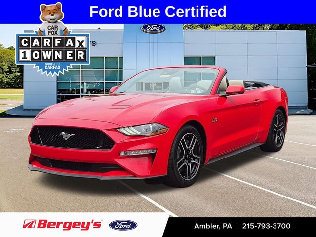 2019 Ford Mustang GT Premium RWD photo