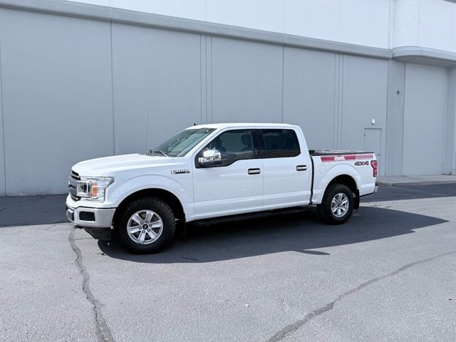2019 Ford F-150 XLT 4WD photo