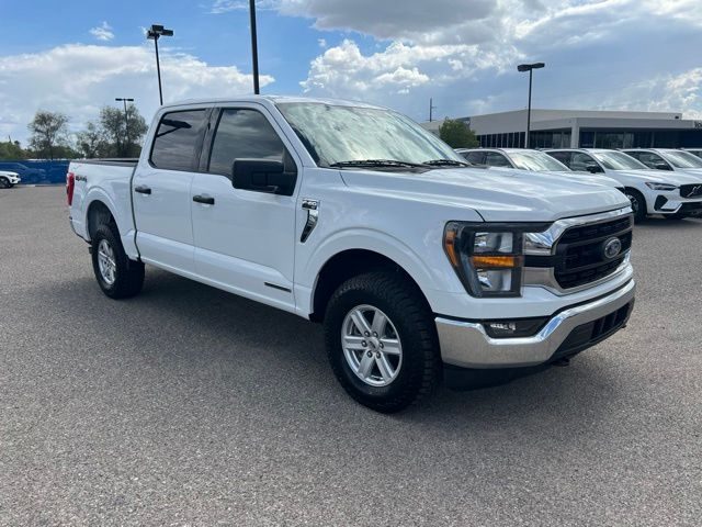 2023 Ford F-150 XLT 4WD photo
