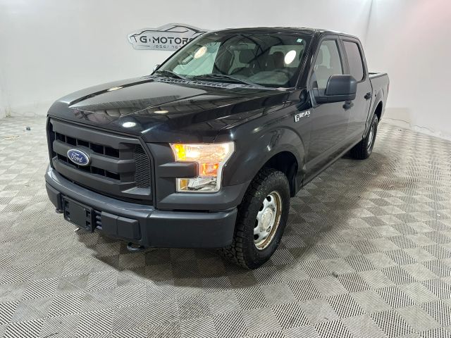 2017 Ford F-150 XL 4WD photo