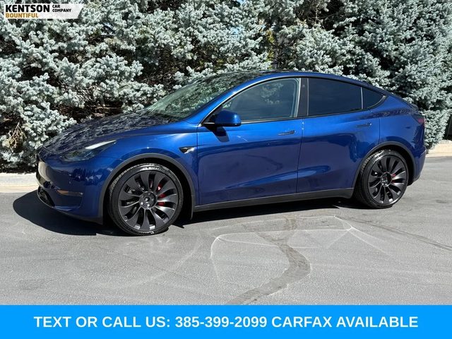 2022 Tesla Model Y Performance AWD photo