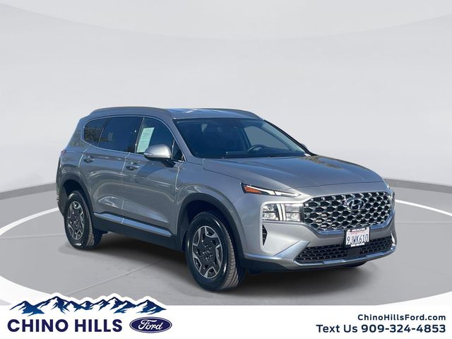2023 Hyundai Santa Fe Blue AWD photo
